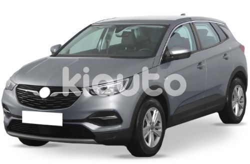 Opel Grandland X 2017 2021