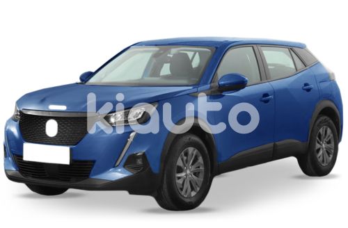 Peugeot 2008 2019 >