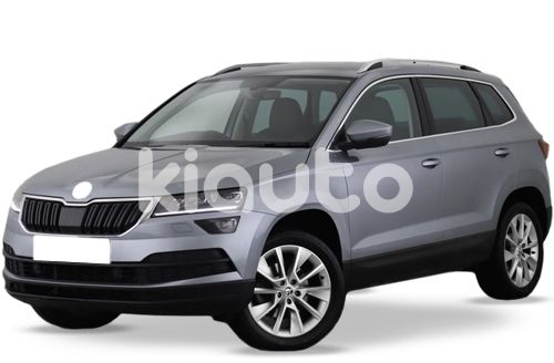 Skoda Karoq 2017 >