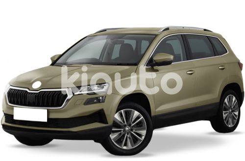 Skoda Karoq 2022, 2023, 2024, 2025 