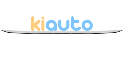 51127289755 | Acheter moulure bmw serie 3 ... | Kiauto