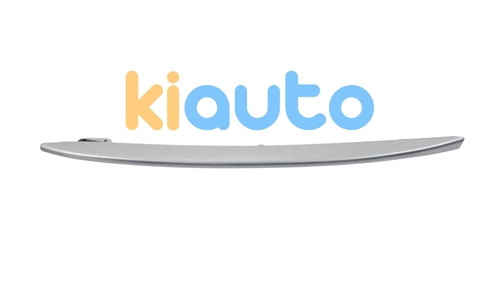 51117231859 | Acheter moulure grille bmw s... | Kiauto