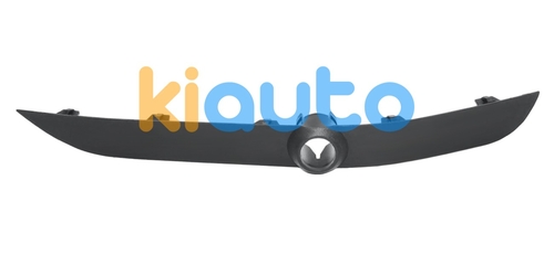51117009893 | Acheter moulure bmw x5 (e53)... | Kiauto