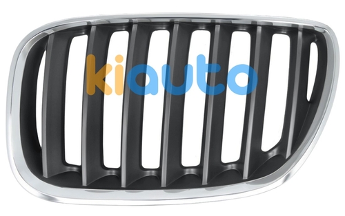 51137113733 | Acheter grille bmw x5 (e53) ... | Kiauto