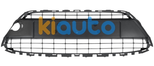 1766625 | Acheter grille ford fiesta 2... | Kiauto