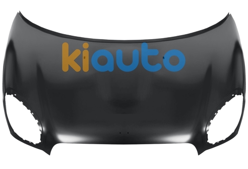 41009805935 | Acheter capot mini paceman 2... | Kiauto