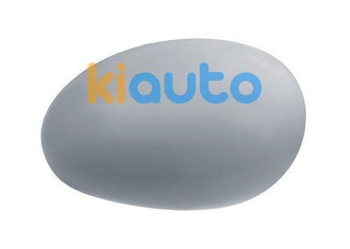 Acheter coque de rétroviseu... | Kiauto