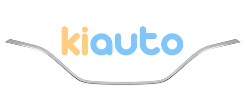 623855072R | Acheter moulure grille renau... | Kiauto