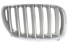 GRILLE BMW X5 (E53) 2004-2006 FACE AVANT / TITANIUM / DROITE