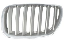 GRILLE BMW X5 (E53) 2004-2006 FACE AVANT / TITANIUM / GAUCHE
