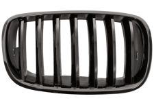GRILLE BMW X6 (E71-E72) 2007-2014 FACE AVANT / CONTOUR NOIR / LAMES NOIRES / DROITE