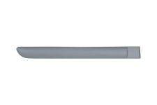 MOULURE PORTE CITROEN C3 2002-2005 ARRIÈRE / AVEC APPRET / DROITE