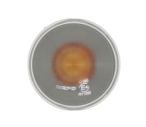 FEU D´AILE FIAT DOBLO 2001-2006 BLANC / REVERSIBLE