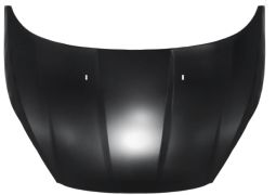 CAPOT FORD FIESTA 2013-2017 AVANT 