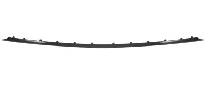 MOULURE GRILLE MERCEDES CLASE E (W211) 2002-2006 PARE-CHOCS AVANT / MODÈLE AVANTGARDE / CENTRALE 