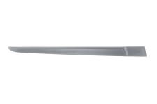 MOULURE PORTE RENAULT CLIO 2005-2009 5 PORTES / ARRIÈRE / AVEC APPRET / DROITE