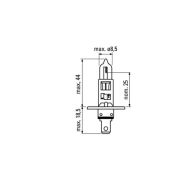 LAMPE DE GYROPHARE H1 55W