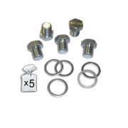 BOUCHONS DE VIDANGE M15X1.5P