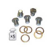 BOUCHONS DE VIDANGE M17X1.5P