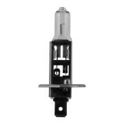 AMPOULE OBN H1 55W